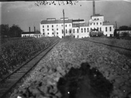 Cukrownia "Zbiersk" 1947